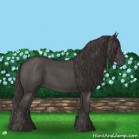 Horse Color:Smoky Blue Roan