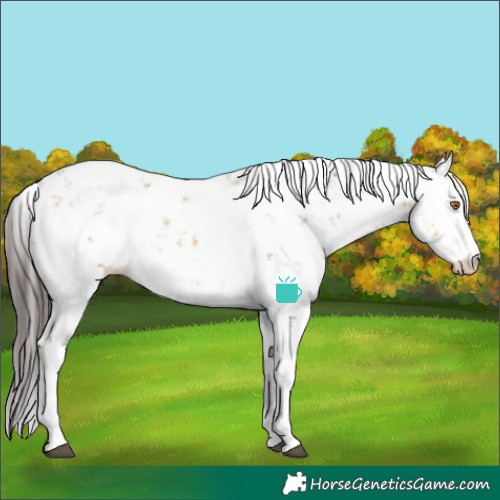 Horse Color:Buckskin Dun Sabino 