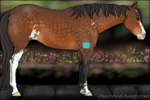 Horse Color:Buckskin Sabino 