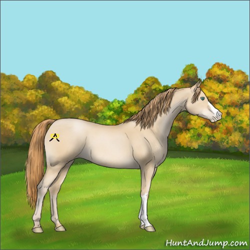 Horse Color:Smoky Black Pearl 