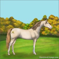 Horse Color:Smoky Black Pearl 