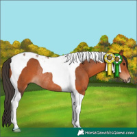 Horse Color:Bay Tobiano Rabicano