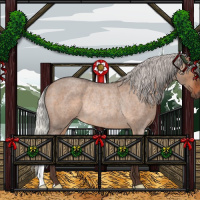 Horse Color:Silver Brown Roan Dun Rabicano 