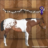 Horse Color:Bay Tobiano Blanket Rabicano 