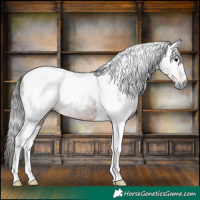 Horse Color:Gray Brown Tobiano 