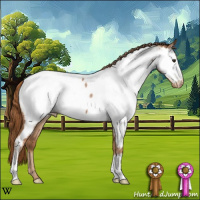 Horse Color:Red Roan Near Fewspot 