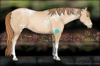 Horse Color:White Spotted Smoky Black Pearl 
