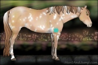 Horse Color:White Spotted Brown Pearl 