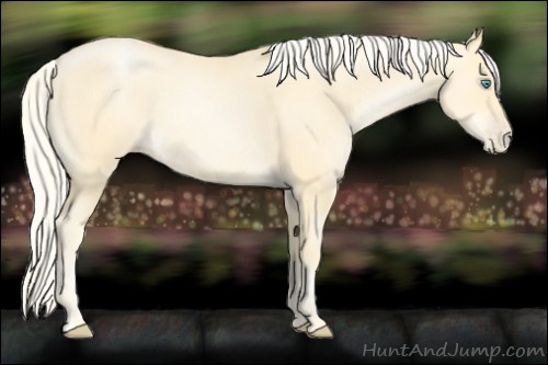 Horse Color:Palomino Pearl