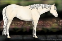 Horse Color:Palomino Pearl