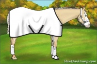 Horse Color:Silver Classic Champagne Dun Splash Frame 