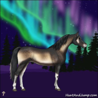 Horse Color:Brown Onyx 