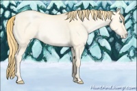Horse Color:Buckskin Pearl Dun 