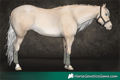 Horse Color:Palomino Pearl 
