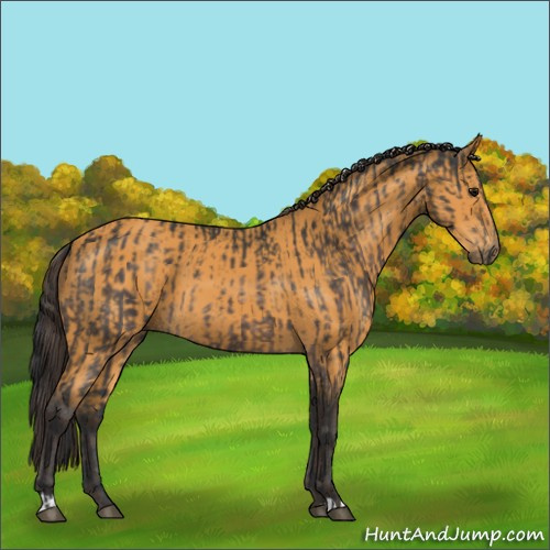 Horse Color:Platinum Brown  and Buckskin 