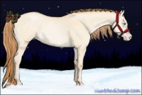 Horse Color:Buckskin Pearl Dun 