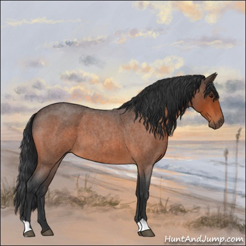 Horse Color:Brown Roan 