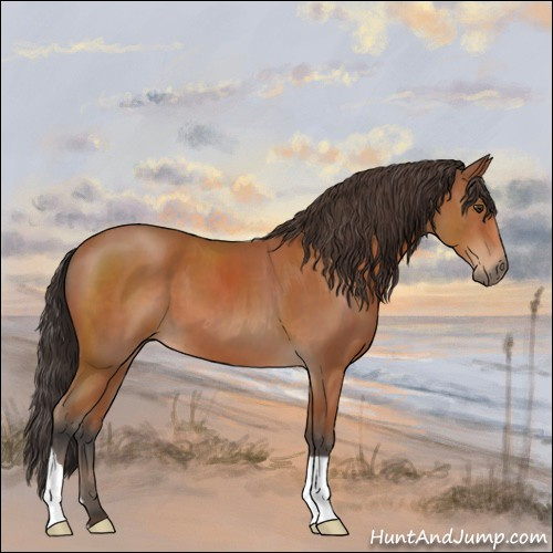 Horse Color:Brown 