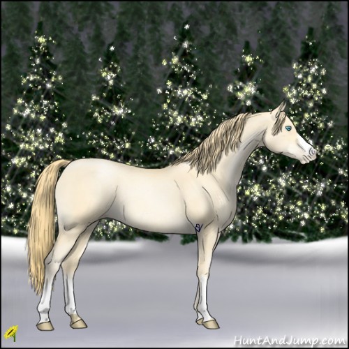 Horse Color:Buckskin Pearl 