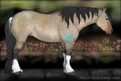 Horse Color:Brown Dun Sabino Tobiano 