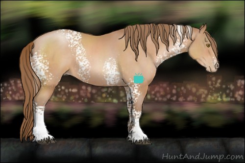 Horse Color:White Spotted Brown Pearl Sabino 