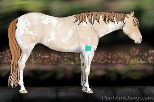 Horse Color:White Spotted Smoky Blue Roan Pearl 