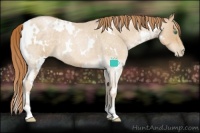Horse Color:White Spotted Smoky Blue Roan Pearl 