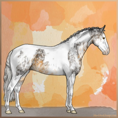 Horse Color:White Spotted Silver Buckskin Tobiano 