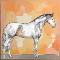 Horse Color:White Spotted Silver Buckskin Tobiano