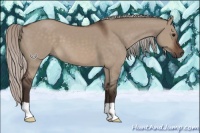 Horse Color:Silver Brown Dun 