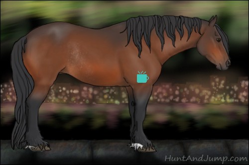 Horse Color:Brown Rabicano 