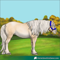 Horse Color:Palomino Pearl 
