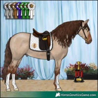 Horse Color:Liver Red Dun 