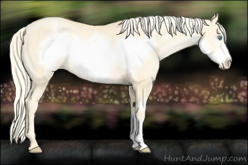 Horse Color:Palomino Pearl Frame 