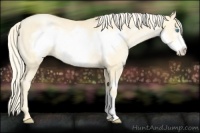 Horse Color:Palomino Pearl Frame 