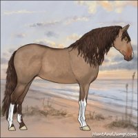 Horse Color:Liver Red Dun 