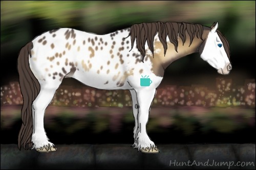 Horse Color:Smoky Blue Onyx Splash Appaloosa 