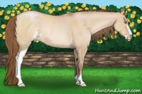 Horse Color:Brown Roan Pearl Dun Sabino Rabicano
