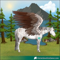 Horse Color:Classic Champagne Sabino Rabicano and Brown Onyx Sabino