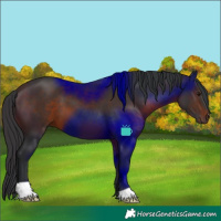 Horse Color:Brown 