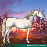 Horse Color:Buckskin Pearl 