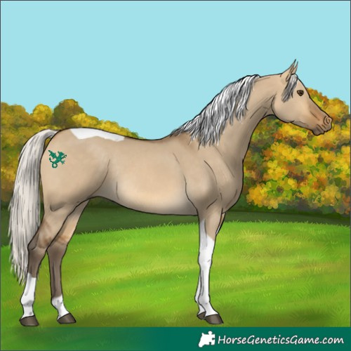 Horse Color:Silver Buckskin Dun Tobiano Rabicano