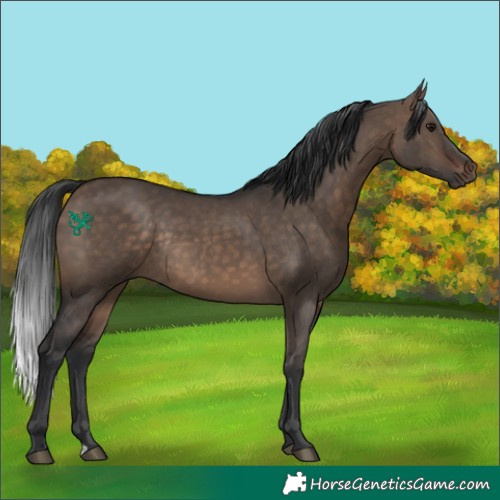 Horse Color:Brown Dun Rabicano 