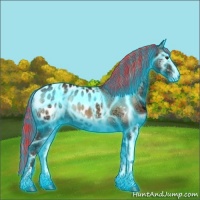 Horse Color:Painted Thunderstruck Red Onyx Ice Sabino Appaloosa Brindle 