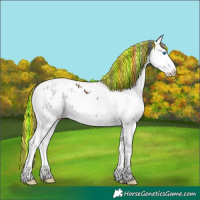 Horse Color:Painted Red Onyx Ice Sabino Splash Snowflake Varnish 