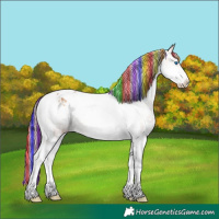 Horse Color:Painted Red Onyx Sabino Splash Tobiano Appaloosa Brindle 