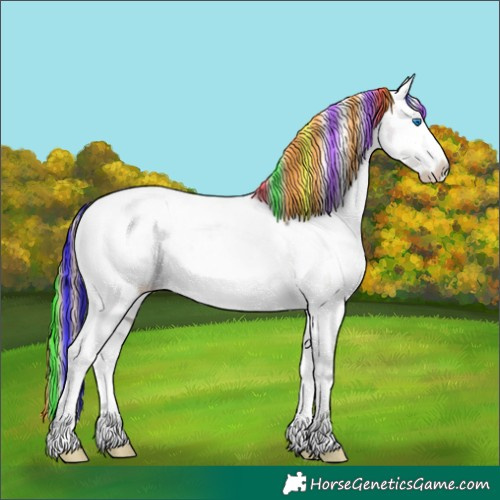 Horse Color:Painted Grullo Sabino Splash Snowcap 
