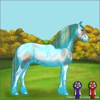 Horse Color:Painted Thunderstruck Blue Onyx Ice Pearl Sabino Tobiano Appaloosa 