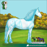 Horse Color:Thunderstruck Liver Red Onyx Sabino Appaloosa 