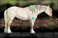 Horse Color:Painted White Spotted Silver Bay Pearl Dun Rabicano 